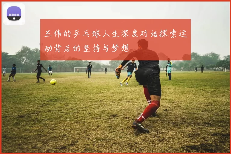 王伟的乒乓球人生深度对话探索运动背后的坚持与梦想