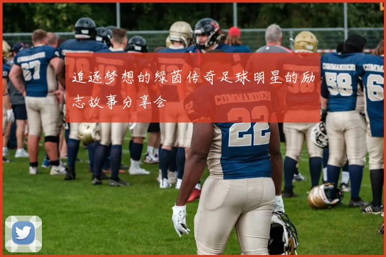追逐梦想的绿茵传奇足球明星的励志故事分享会