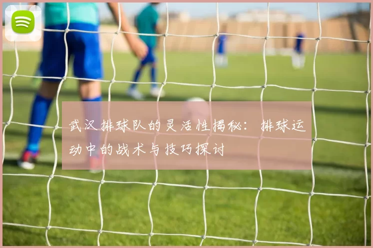 武汉排球队的灵活性揭秘：排球运动中的战术与技巧探讨