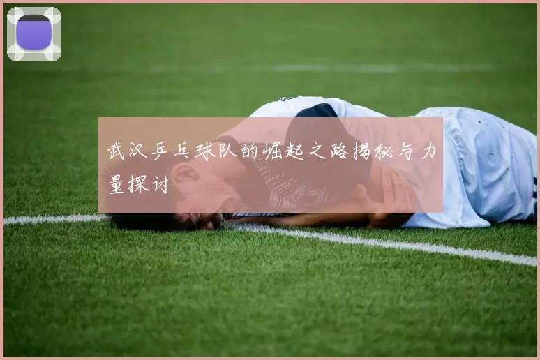 武汉乒乓球队的崛起之路揭秘与力量探讨