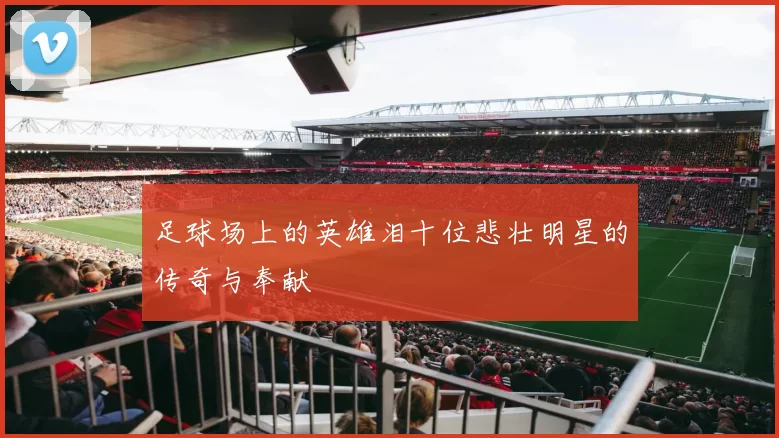 足球场上的英雄泪十位悲壮明星的传奇与奉献