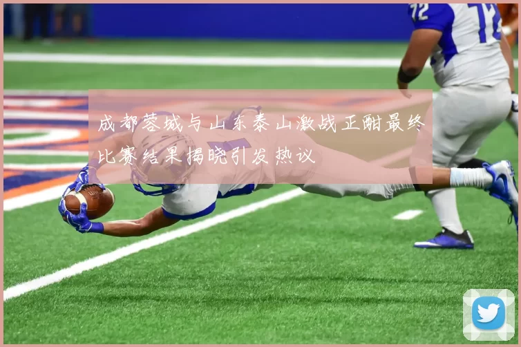 成都蓉城与山东泰山激战正酣最终比赛结果揭晓引发热议