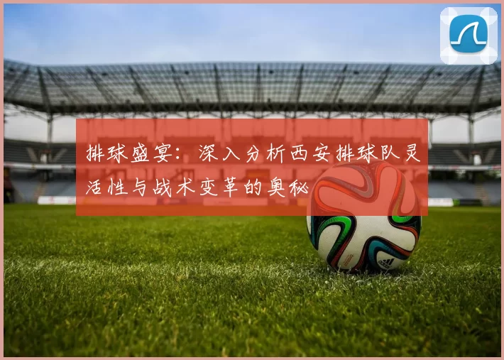 排球盛宴：深入分析西安排球队灵活性与战术变革的奥秘