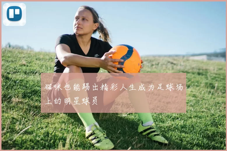 猫咪也能踢出精彩人生成为足球场上的明星球员