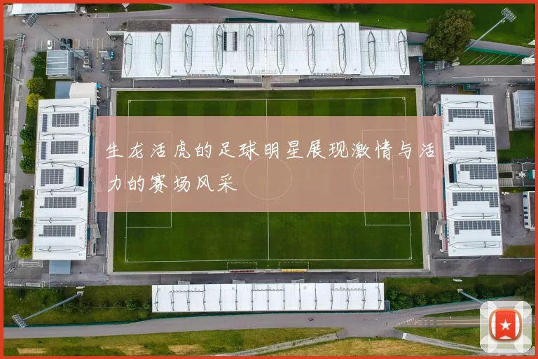 生龙活虎的足球明星展现激情与活力的赛场风采