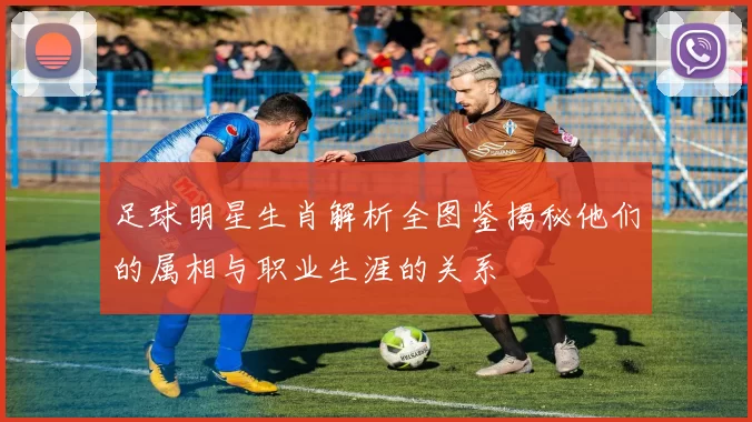 足球明星生肖解析全图鉴揭秘他们的属相与职业生涯的关系
