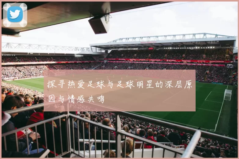 探寻热爱足球与足球明星的深层原因与情感共鸣