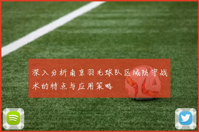 深入分析南京羽毛球队区域防守战术的特点与应用策略