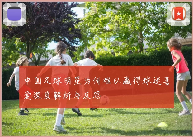 中国足球明星为何难以赢得球迷喜爱深度解析与反思