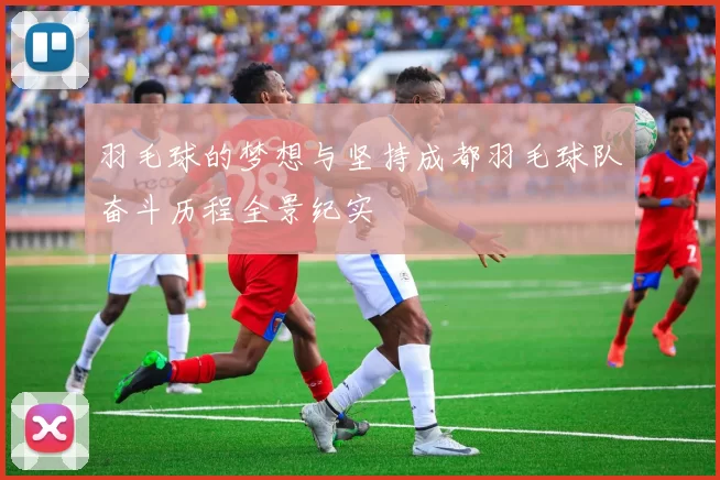 羽毛球的梦想与坚持成都羽毛球队奋斗历程全景纪实