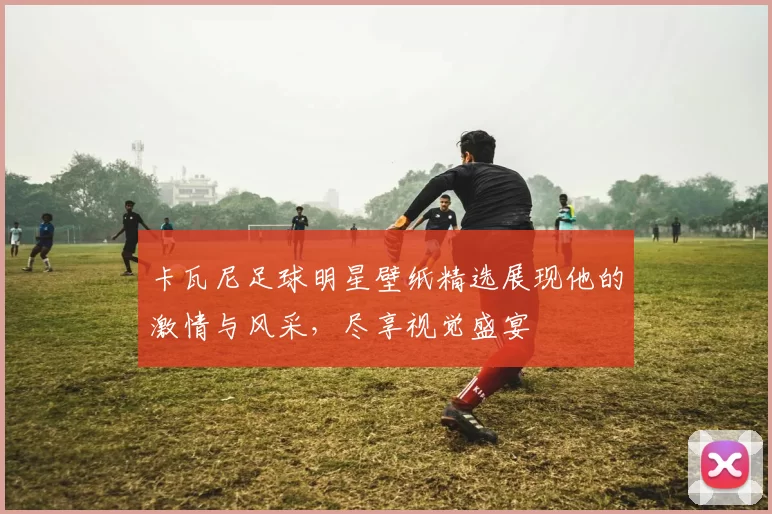 卡瓦尼足球明星壁纸精选展现他的激情与风采，尽享视觉盛宴