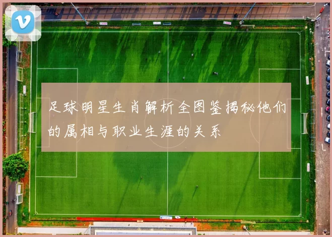 足球明星生肖解析全图鉴揭秘他们的属相与职业生涯的关系