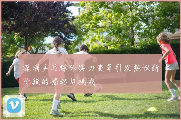 深圳乒乓球队实力变革引发热议新阶段的崛起与挑战