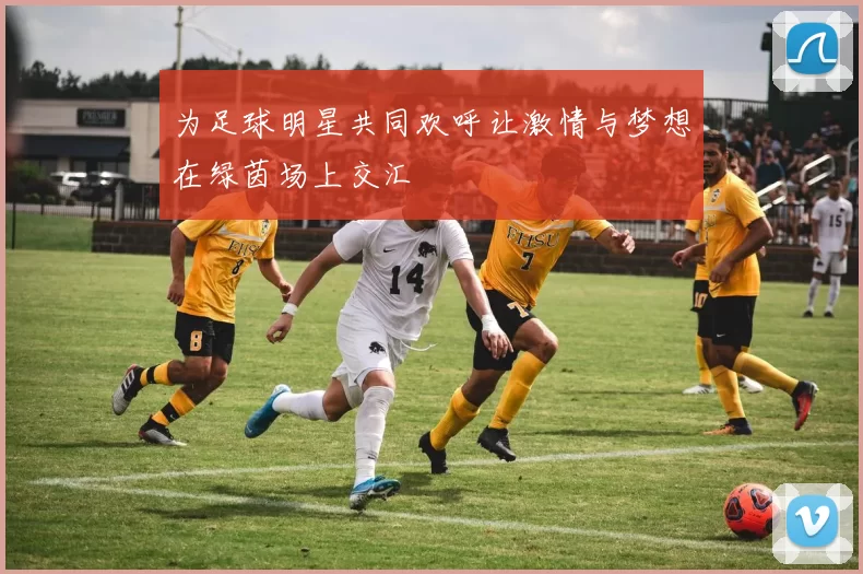为足球明星共同欢呼让激情与梦想在绿茵场上交汇