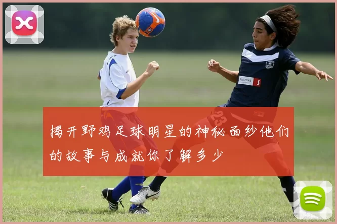 揭开野鸡足球明星的神秘面纱他们的故事与成就你了解多少