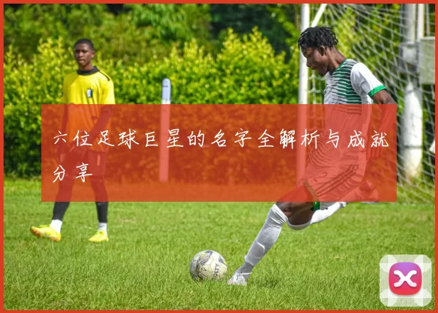 六位足球巨星的名字全解析与成就分享