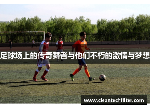 足球场上的传奇舞者与他们不朽的激情与梦想