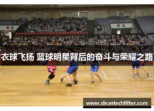 衣球飞扬 篮球明星背后的奋斗与荣耀之路